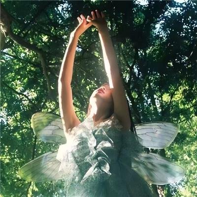 乌龙小子流浪记